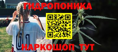стаф Балахна